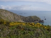 Paysage de Jobourg