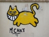 M. chat
