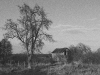 Cabane