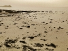 Cancale