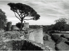 Clisson