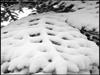 Mondeville sous la neige