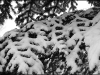 Mondeville sous la neige