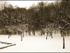 Mondeville sous la neige