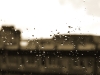 Pluie à Mondeville
